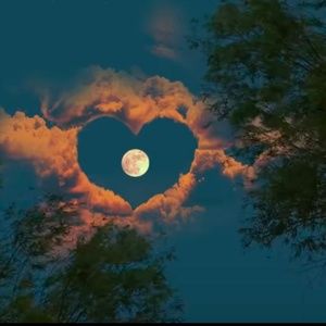 Meet your Posher, Subhashree